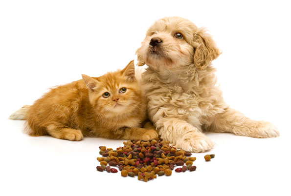 Hayvan Yemi ve Pet Gıdalar